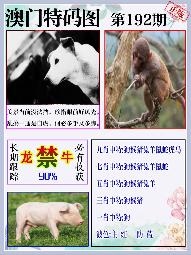 黄大仙手机站